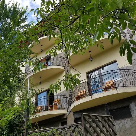 Pensiunea Demac 3*