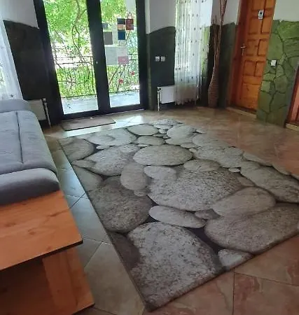 Pensión Pensiunea Demac Slănic