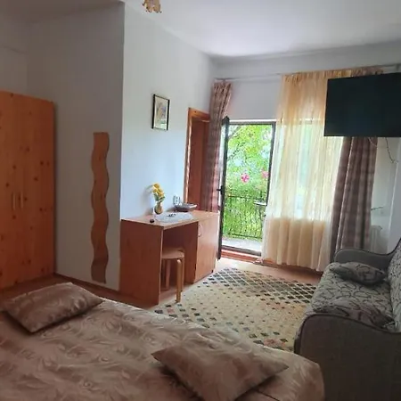 Pensiunea Demac 3* Slănic