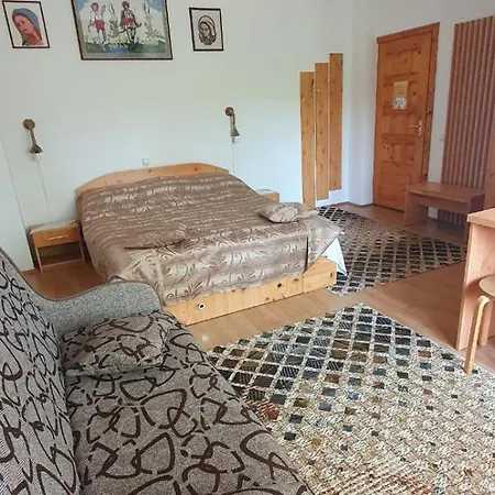 Pensiunea Demac 3* Slănic