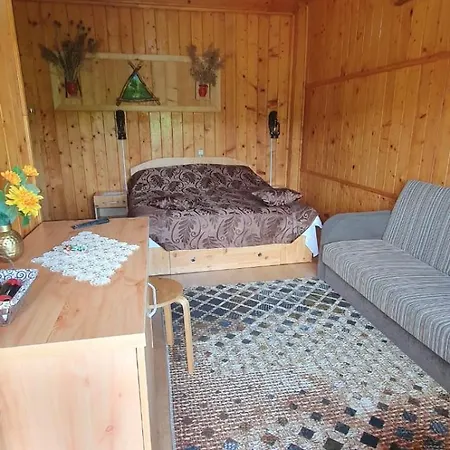 Pensiunea Demac Slănic